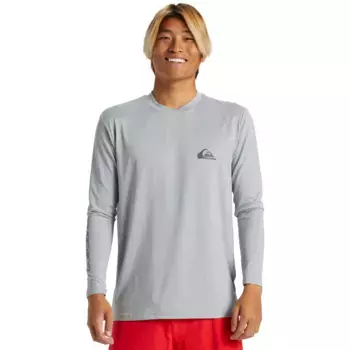 Футболка мужская Everyday Surf Quiksilver, серый