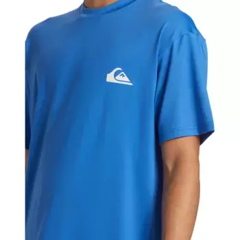 Футболка мужская Everyday Surf Quiksilver, синий