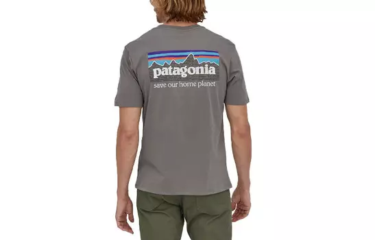 Футболка мужская из органического материала Patagonia, синий