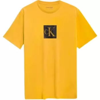 Футболка мужская Куркума Calvin Klein, цвет Turmeric