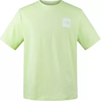 Футболка мужская пастельно-зеленая The North Face, пастельно-зеленый
