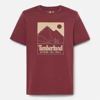 Футболка мужская с коротким рукавом и принтом «Горы» Timberland, цвет tawny port