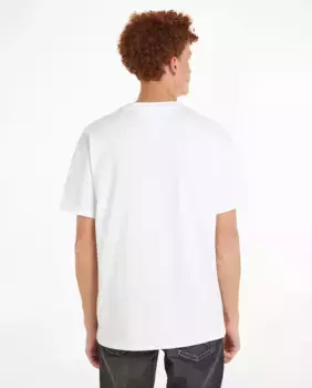 Футболка мужская с коротким рукавом Regular Fit Tommy Jeans, белый