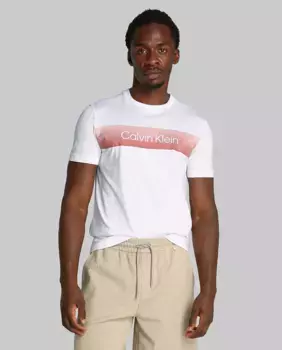 Футболка мужская с линейным логотипом Calvin Klein, белый