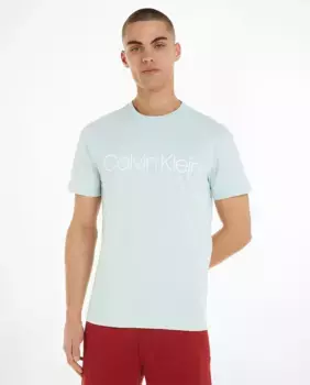 Футболка мужская с логотипом Calvin Klein, голубой