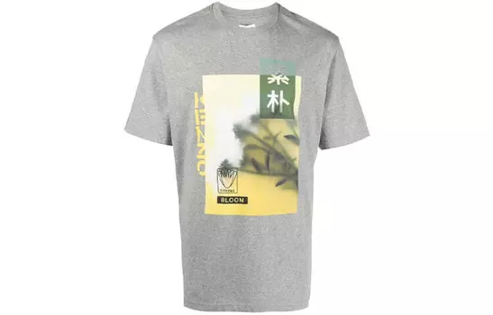 Футболка мужская серая Kenzo, серый