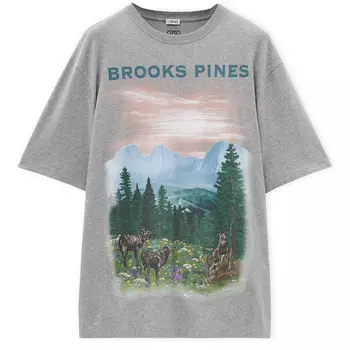 Футболка мужская серая Loewe, серый