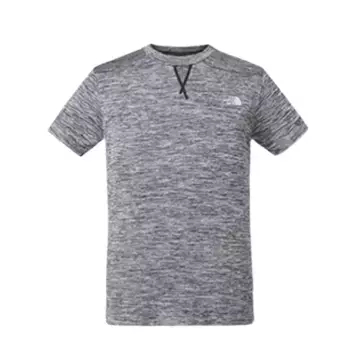 Футболка мужская серая The North Face, серый