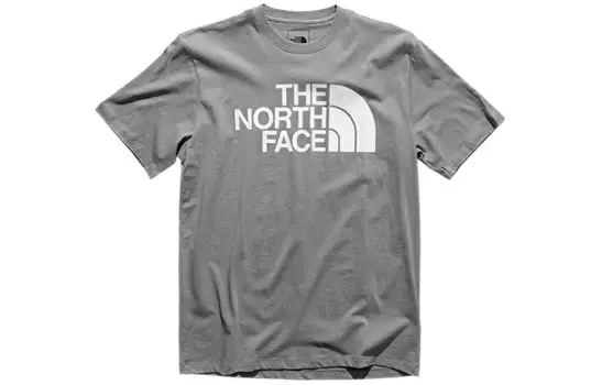 Футболка мужская серая The North Face, серый