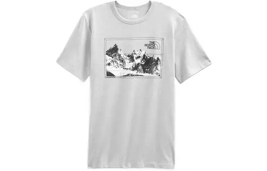 Футболка мужская серая The North Face, серый