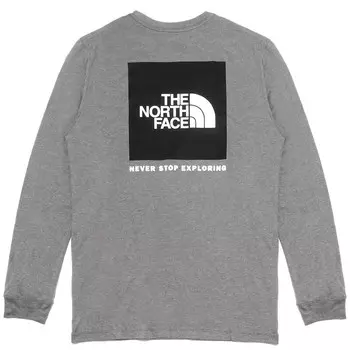 Футболка мужская серая The North Face, серый