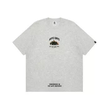 Футболка мужская серая WH2 Aape, серый