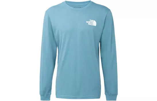 Футболка мужская синяя The North Face, синий