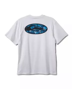 Футболка мужская Stretch Link с коротким рукавом Quiksilver, белый