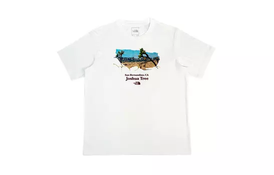 Футболка мужская The North Face, белый