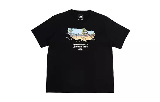 Футболка мужская The North Face, черный