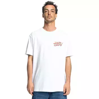 Футболка мужская Two Bit DC Shoes, белый