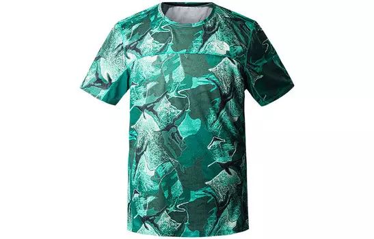 Футболка мужская зеленая The North Face, зеленый