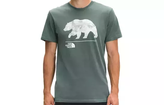 Футболка мужская зеленая The North Face, зеленый