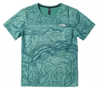 Футболка мужская зеленая The North Face, зеленый