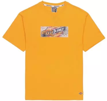Футболка мужская желтая Dickies, желтый