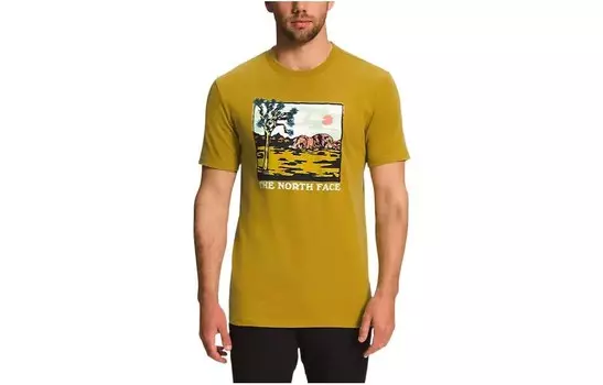 Футболка мужская желтая The North Face, желтый