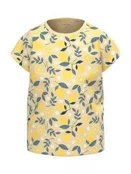 Футболка Name It NKFVIGGA, разноцветный