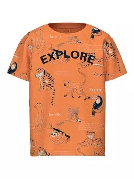 Футболка Name It NMMDENNIS, разноцветный