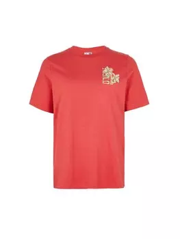 Футболка O'NEILL ONEILL SHIRT, красный