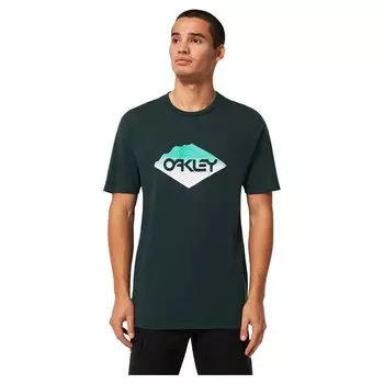 Футболка Oakley Rough Edge B1B, синий