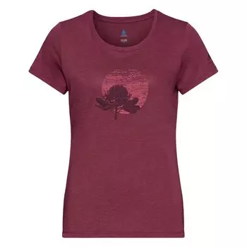 Футболка Odlo Halden Print, красный