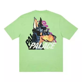 Футболка p-3-k-9 t-shirt 'pistachio' Palace, зеленый