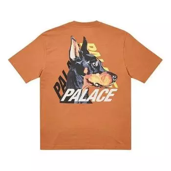 Футболка Palace P-3-K-9 T-Shirt 'Caramel', коричневый
