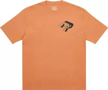 Футболка Palace Valley Of The Shadows T-Shirt 'Caramel', оранжевый
