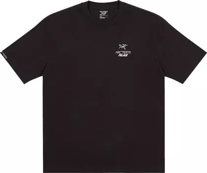 Футболка Palace x Arc'teryx T-Shirt 'Black', черный