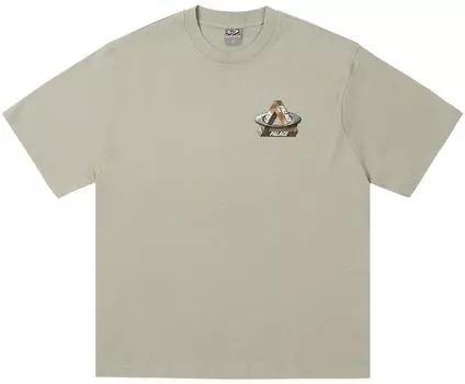 Футболка Palace x Oakley T-Shirt 'Grey', серый