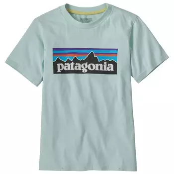 Футболка Patagonia Kid's P 6 Logo, цвет Wispy Green