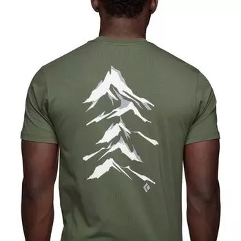 Футболка Peaks мужская Black Diamond, зеленый