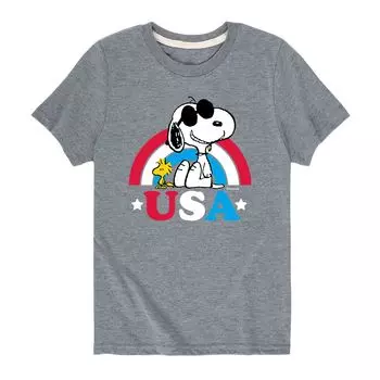 Футболка Peanuts Snoopy "USA" для мальчиков 8–20 лет с радужным рисунком Licensed Character, серый