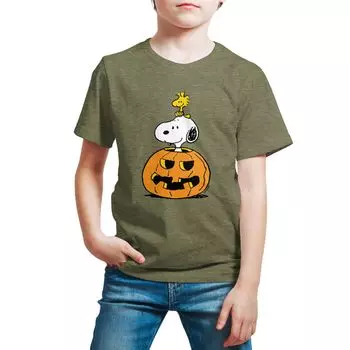 Футболка Peanuts Snoopy Woodstock для мальчиков 8–20 лет на Хэллоуин Licensed Character, серый