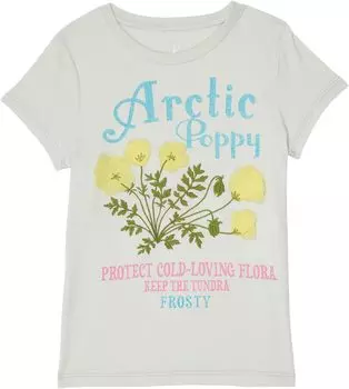 Футболка PEEK Peek X The Nature Conservancy Arctic Poppy Tee, цвет Light Grey
