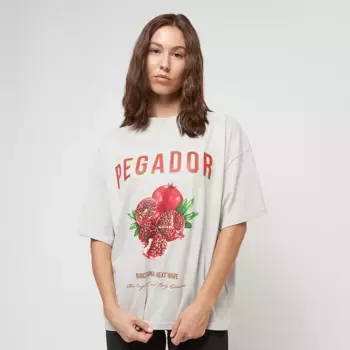 Футболка Pegador Balari Heavy Oversized Tee, серый/разноцветный