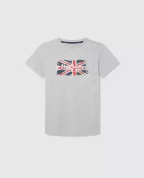 Футболка Pepe Jeans с короткими рукавами и флагом для мальчиков, светло-серый