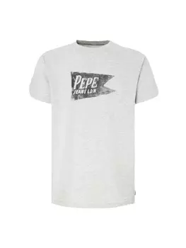 Футболка Pepe Jeans SINGLE CARDIFF, светло-серый