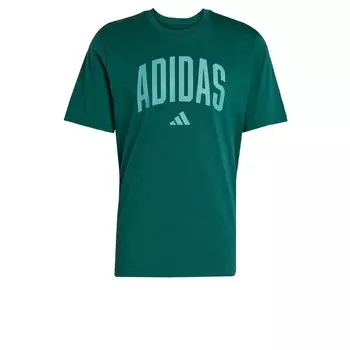 Футболка Performance ADIDAS SPORTSWEAR Collegiate Lineage, изумрудный