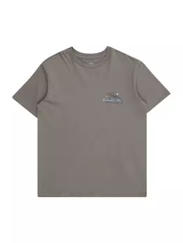 Футболка Performance BILLABONG LIZARD MOUNTAIN, темно-серый