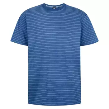 Футболка Petrol Industries M-1050-TSR663, синий