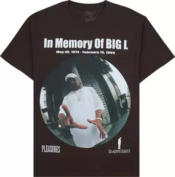 Футболка Pleasures In Memorty T-Shirt 'Brown', коричневый