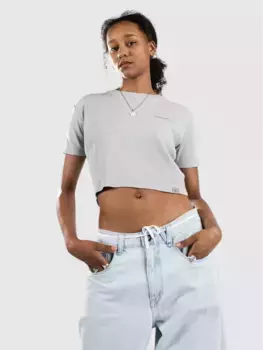 Футболка «Плентивуд» Dickies, серый