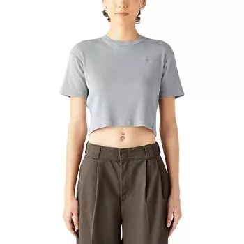 Футболка Plentywood Dickies, серый